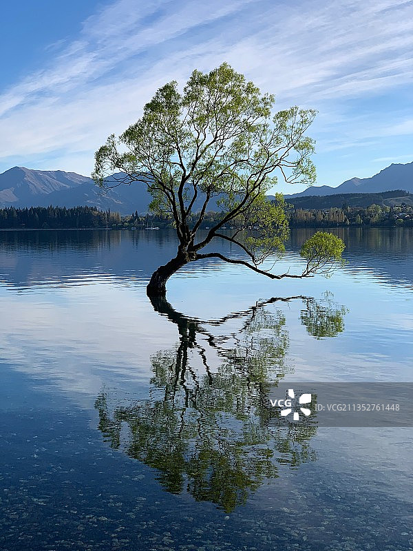 新西兰沃那卡，天空映衬下的湖景图片素材