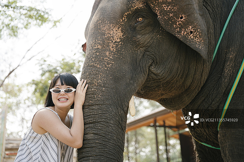 生态旅游-戴着太阳镜的美女抚摸并拥抱大象。图片素材