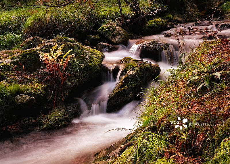 爱尔兰德里邦森林瀑布的风景图片素材