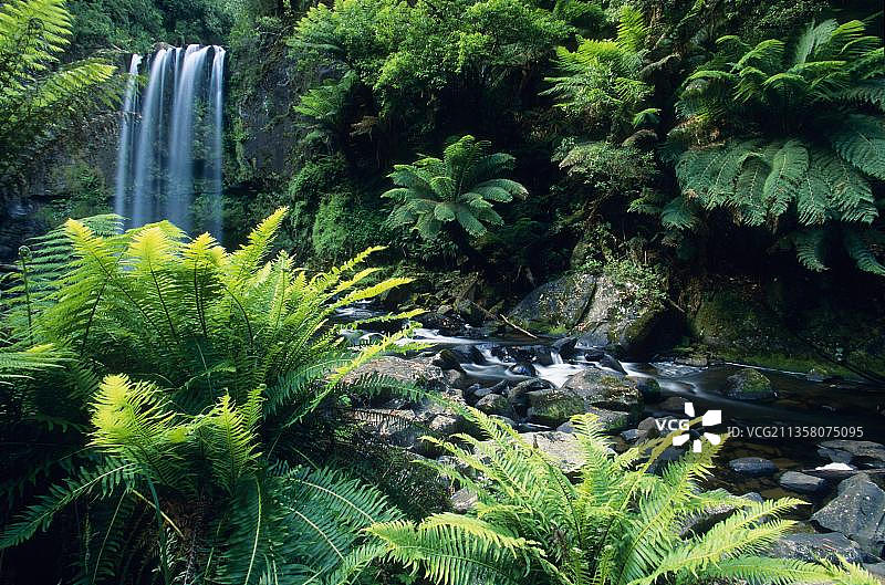 奥特威国家公园(维多利亚)霍普顿瀑布，澳大利亚，大洋洲图片素材