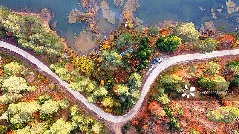 鸟瞰图的道路在树木在秋天，土耳其图片素材