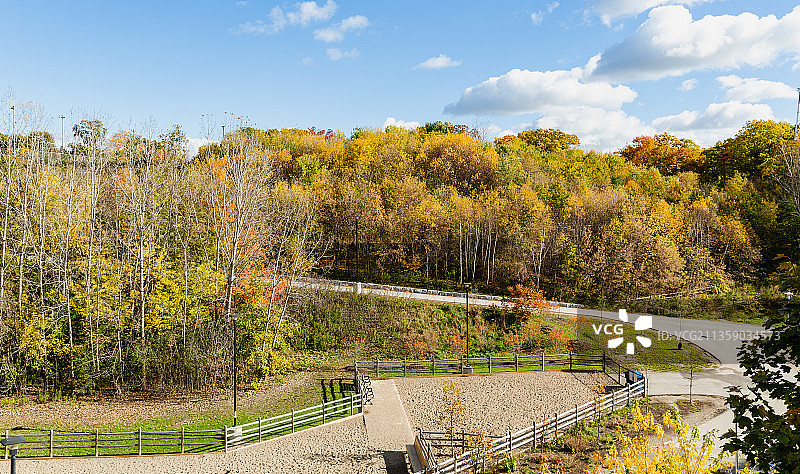 在秋天，加拿大安大略省多伦多，植物对天空的树木图片素材
