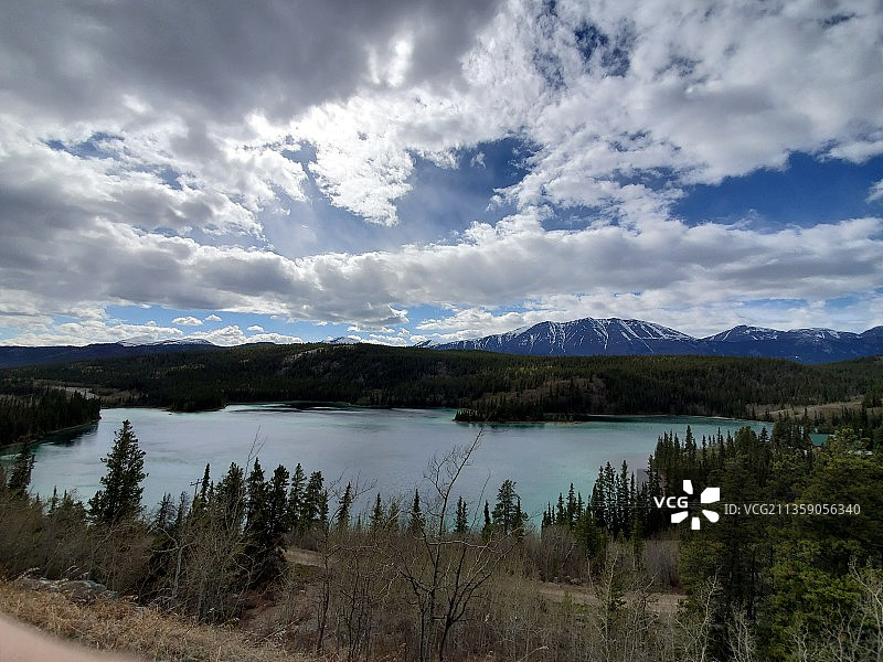 加拿大育空省怀特霍斯市，树木映衬着天空的湖面风景图片素材