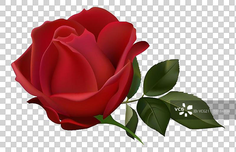 一朵红色的玫瑰花元素图片素材