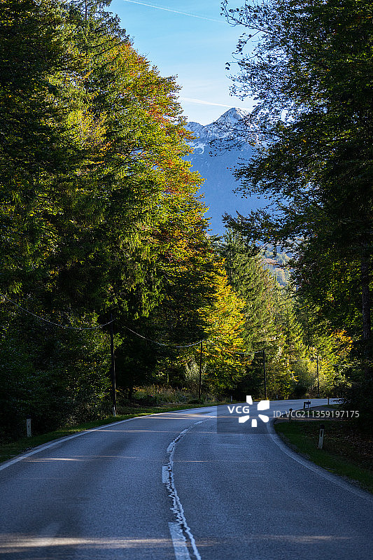奥地利，空无一人的道路在树林中与天空相映图片素材