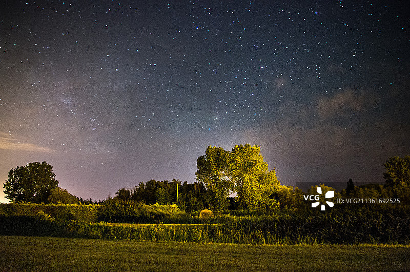 一个标题是很必要的，田野上的树在夜空下图片素材