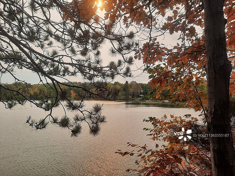秋日日出，加拿大秋日天空映衬下的湖景图片素材