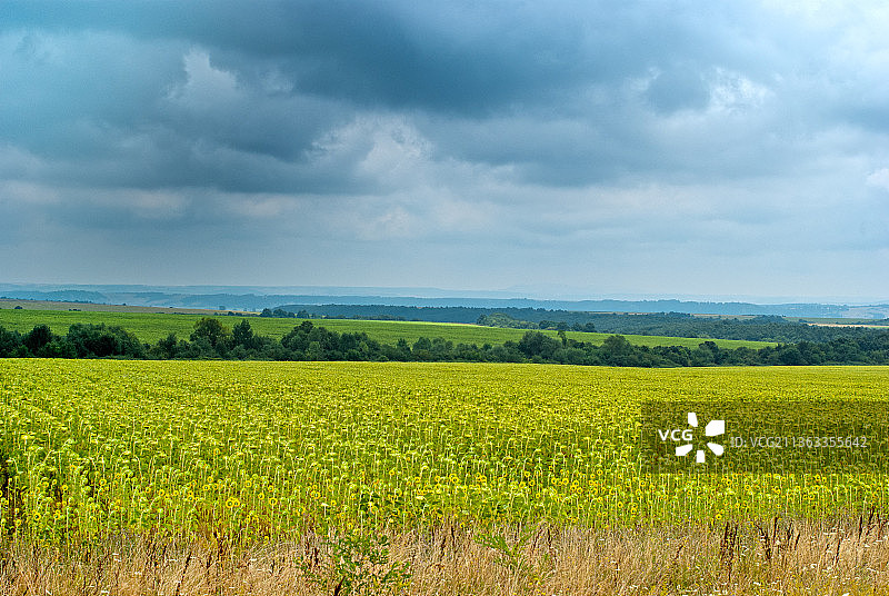 风景，农田对着天空的风景图片素材