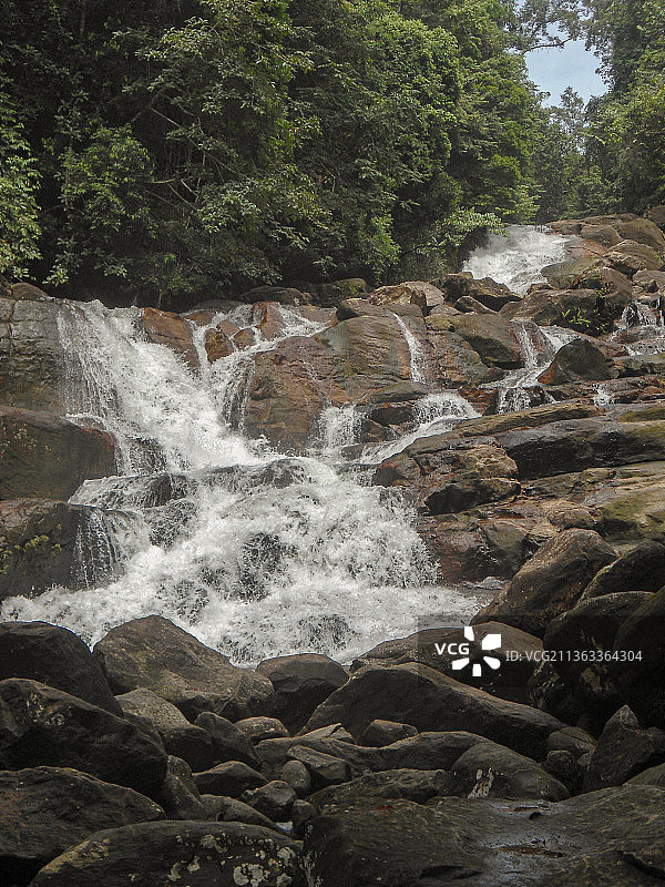 纳兰加斯瀑布-斯里兰卡，森林瀑布景观，坎内利亚雨林，斯里兰卡图片素材