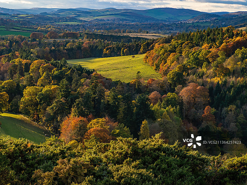 秋天的场景-斯科特的观点，梅尔罗斯，苏格兰边界，高角度的观点，树木对天空景观，英国，英国图片素材