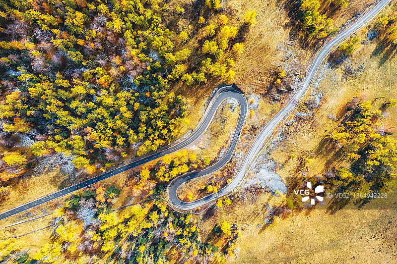 新疆阿勒泰地区布尔津喀纳斯景区泰加林与山路秋季户外风光航拍正上方视角图片素材