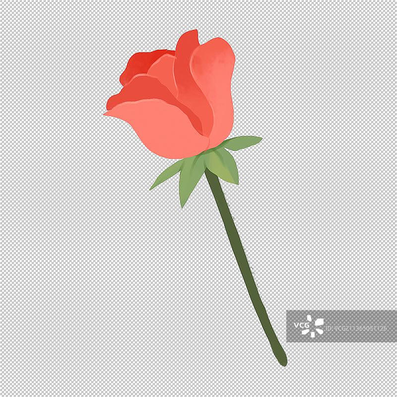 春节插画元素花卉玫瑰图片素材