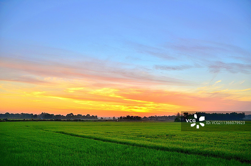 拂晓，越南巴里亚，夕阳下农田的风景图片素材