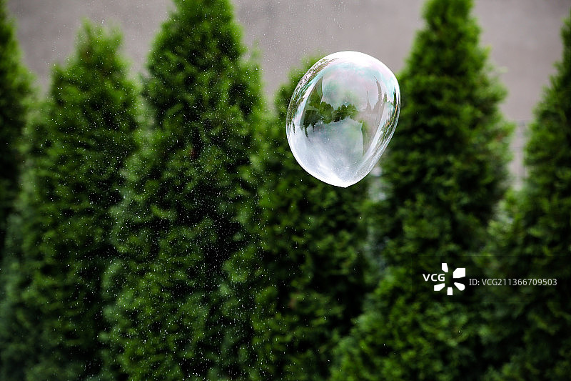 泡泡对着树的特写图片素材