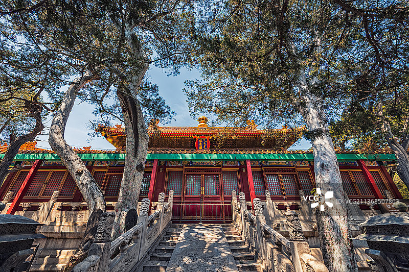 亚洲中国北京故宫博物院御花园钦安殿图片素材