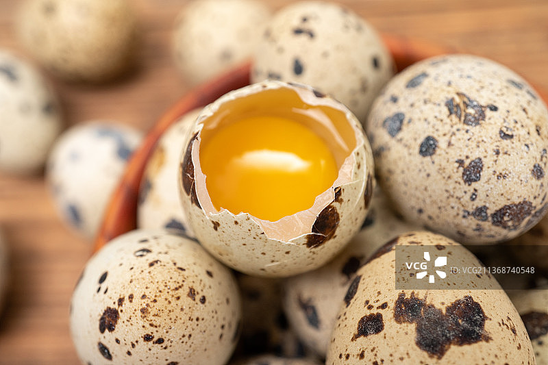 新鲜鹌鹑蛋蛋类食品鸟蛋图片素材