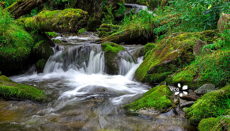 瀑布，森林中的瀑布景观图片素材