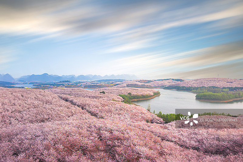 长时间曝光的天空下湖边的樱花园图片素材