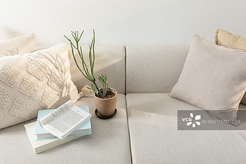 放松舒适的物品和背景，沙发，花盆，一本书图片素材