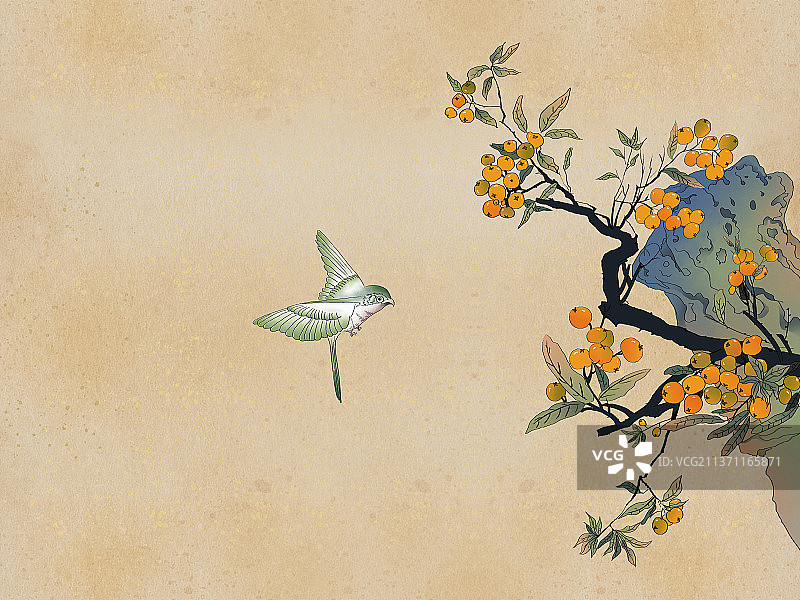 中国风水墨画假山旁边的枇杷树结满枇杷果图片素材