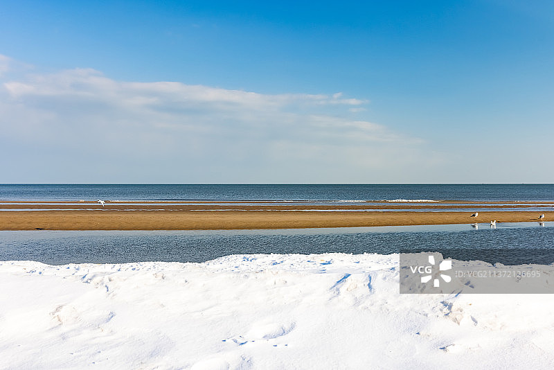 冬天晴朗天空下的海滩雪景图片素材