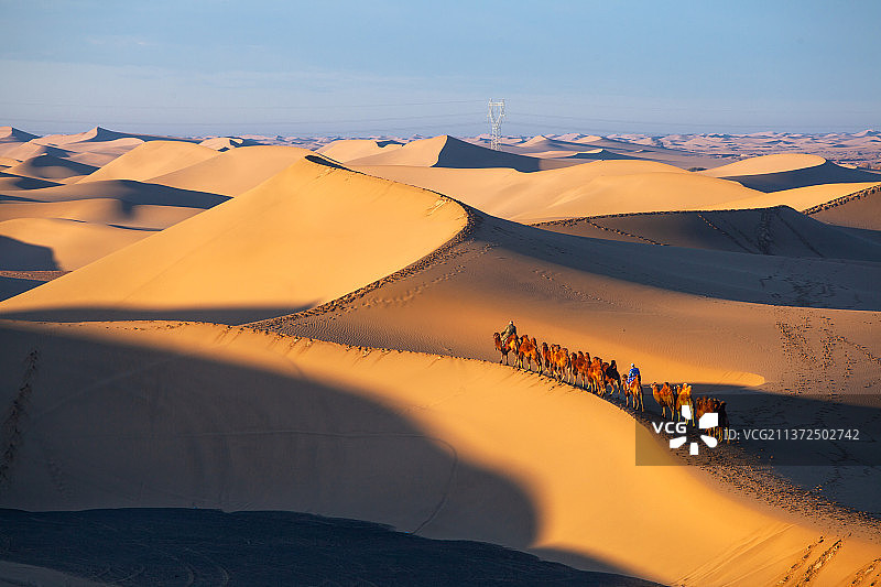 巴丹吉林沙漠驼影图片素材