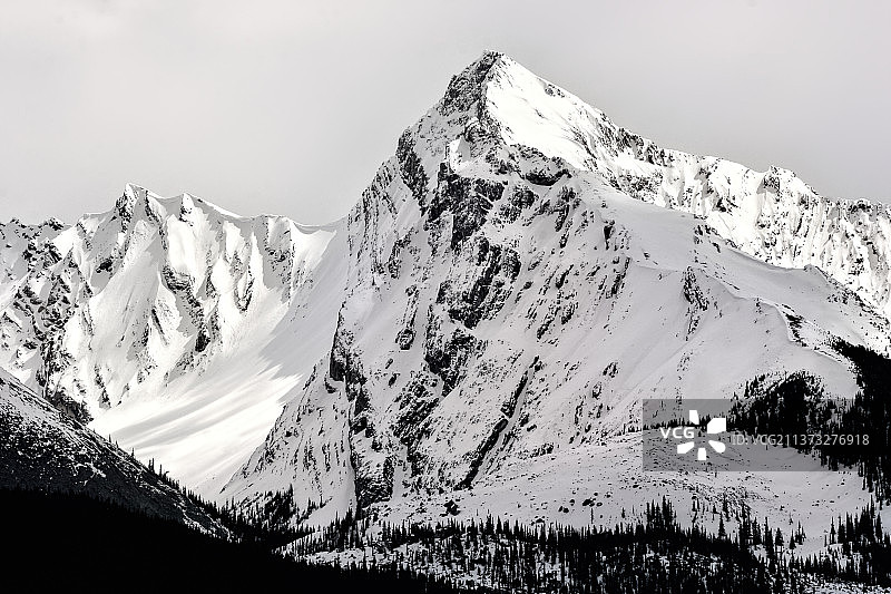 雪峰- BW，雪山在天空下的风景，阿尔伯塔，加拿大图片素材