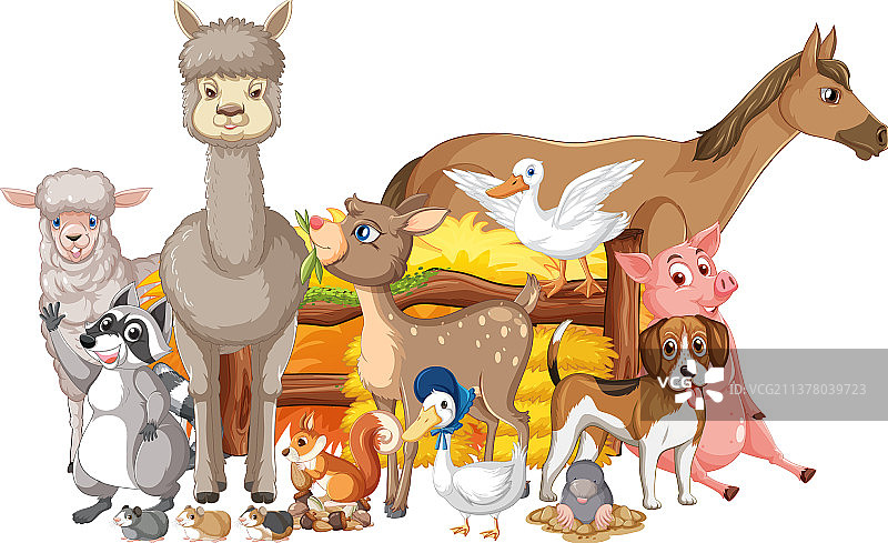 许多农场动物站在栅栏旁边图片素材