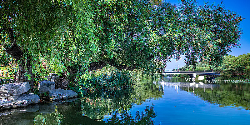 夏日公园里湖边的美景图片素材