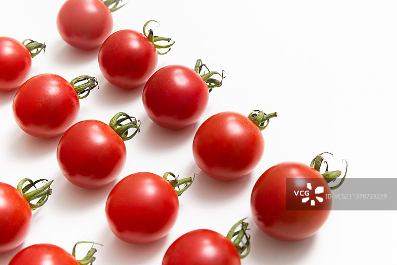 白背景整齐西红柿圣女果图片素材
