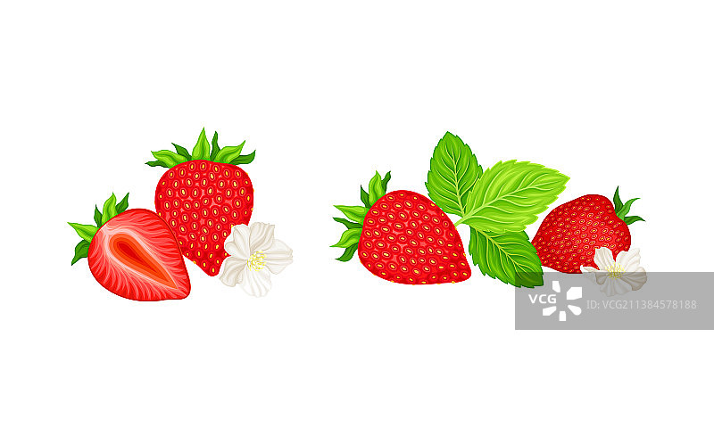 成熟的红草莓，半全带叶图片素材
