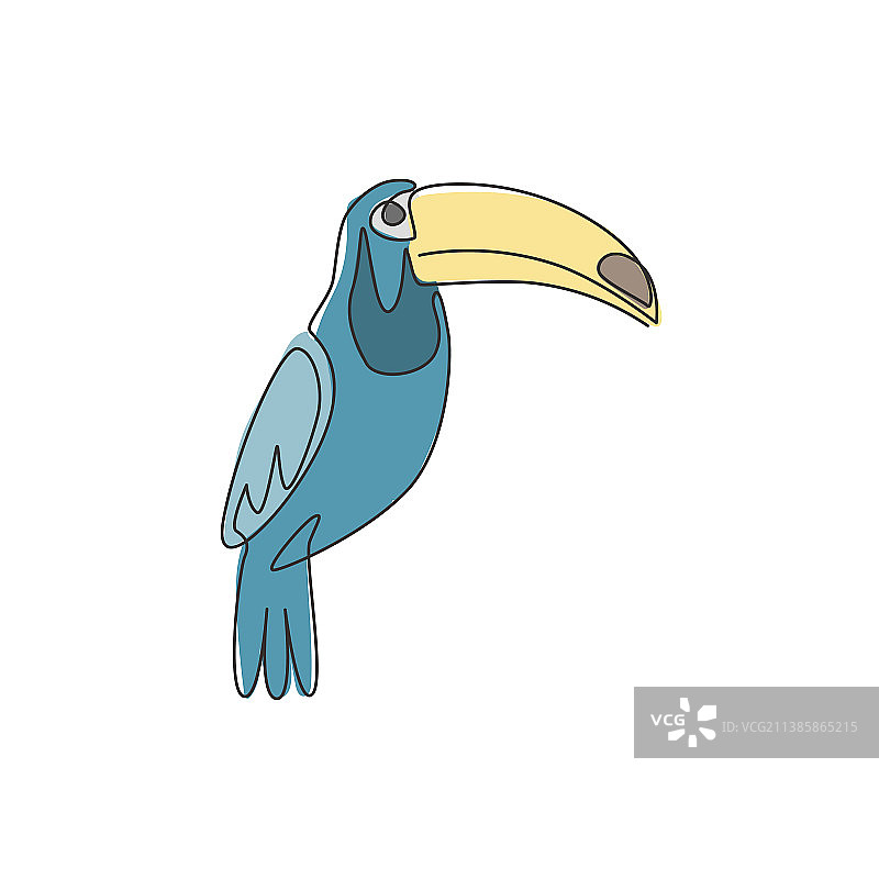一幅奇异巨嘴鸟的单线画图片素材