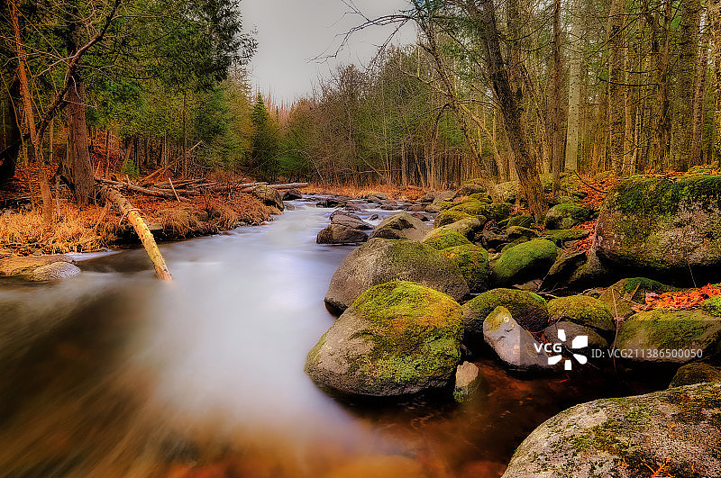 森林中溪流流动的风景图片素材