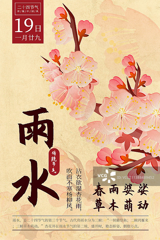 二十四节气新中式植物海报-02雨水-杏花图片素材