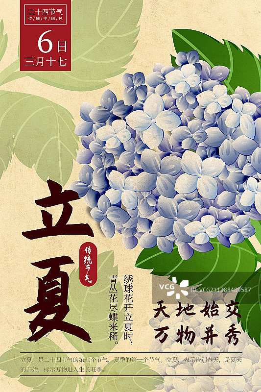 二十四节气新中式植物海报-07立夏 -绣球花.psd图片素材