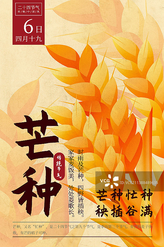 二十四节气新中式植物海报-09芒种-黄麦图片素材