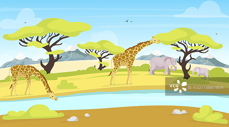 非洲保护扁平长颈鹿和大象图片素材