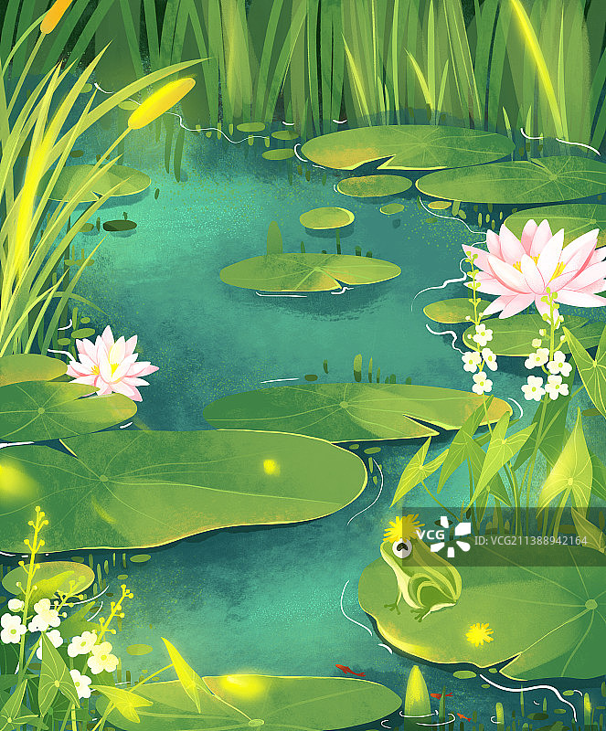 七月睡莲水草池塘青蛙夏季系列插画图片素材
