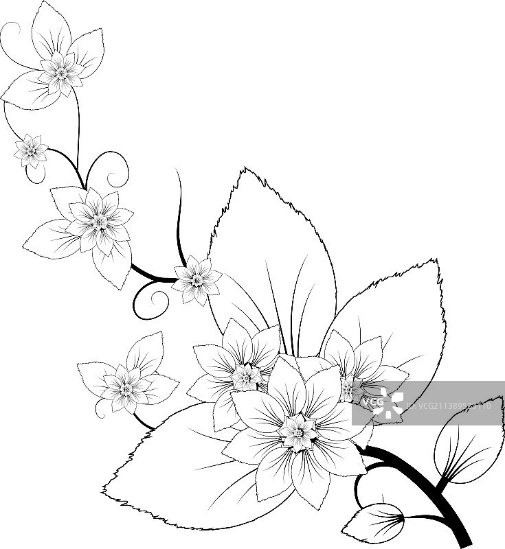 花有黑白花图片素材