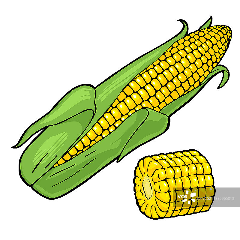 有叶或无叶的成熟玉米芯图片素材