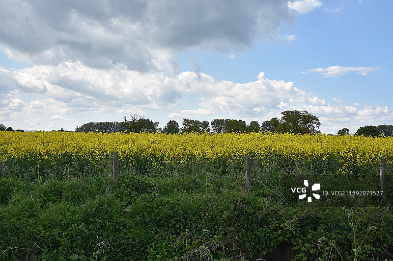 英国西坎布里亚郡的农田图片素材