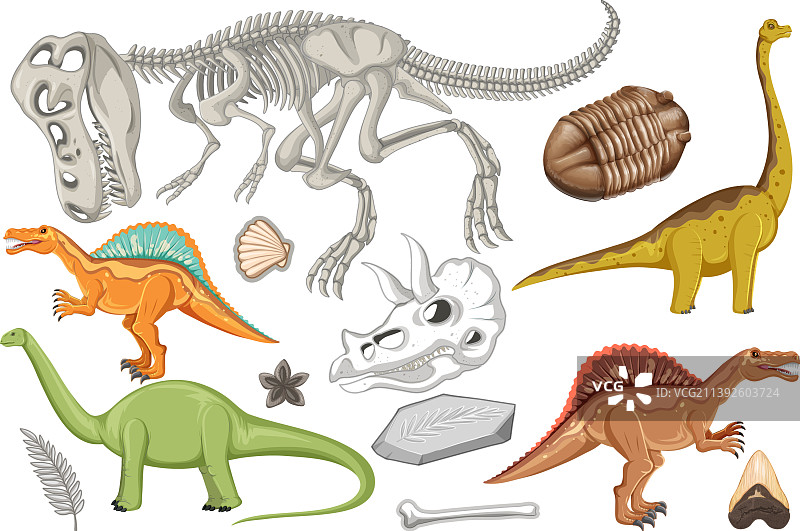 一套恐龙和化石图片素材