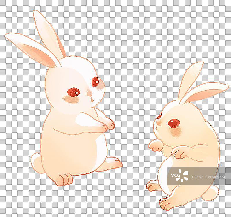 可爱的白兔子图片素材