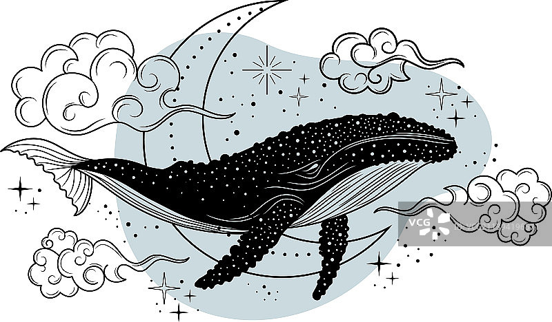 鲸鱼鲸鱼轮廓神秘的鲸鱼图片素材