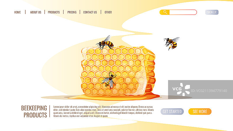 健康食品天然产物蜂窝状蜂蜜图片素材