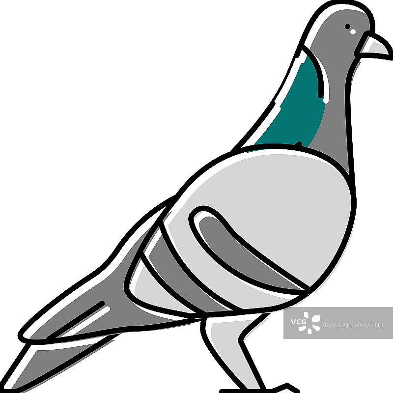鸽子鸟颜色图标图片素材