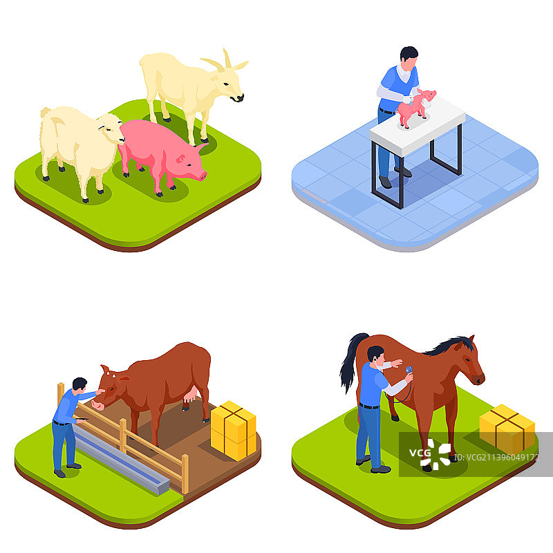 农场动物兽医等距图标集图片素材
