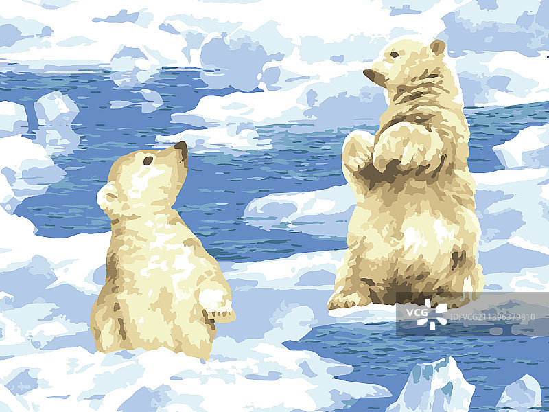 熊妈妈和小熊在融化的北极图片素材