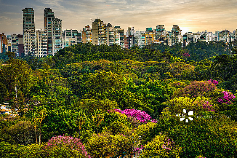 巴西，天空映衬着城市的树木和建筑图片素材
