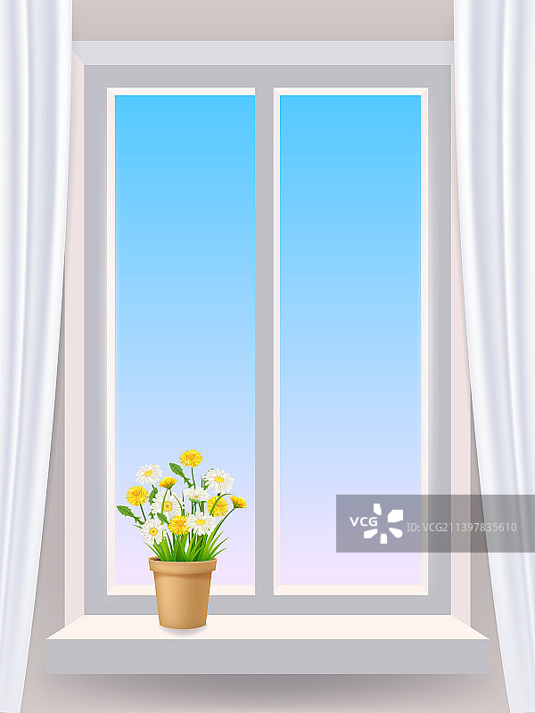 窗内花洋甘菊在盆中图片素材